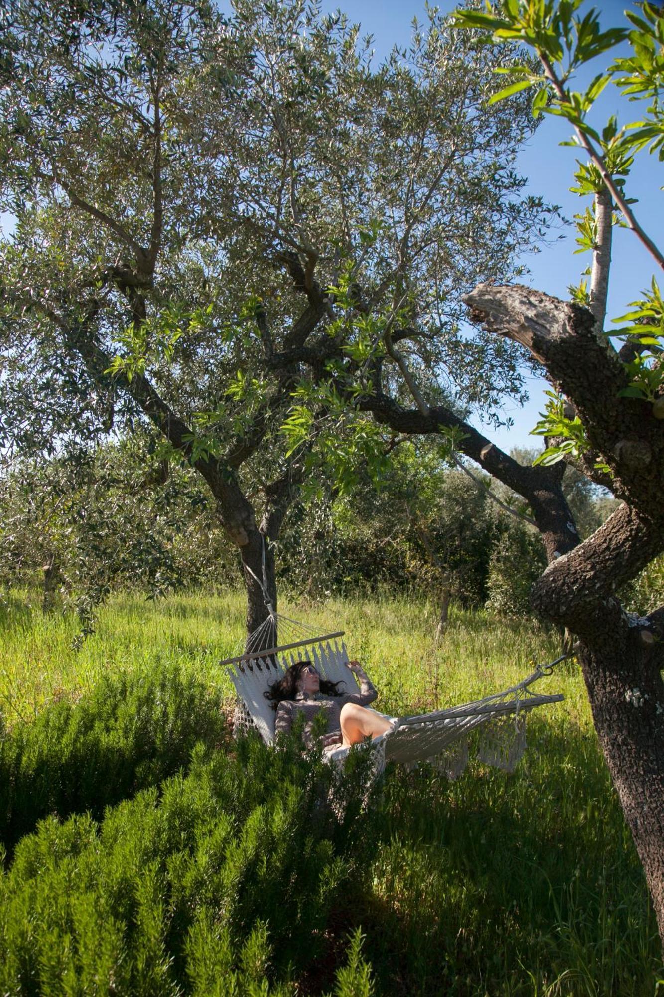 Trulli Alla Controra 孔韦尔萨诺 外观 照片